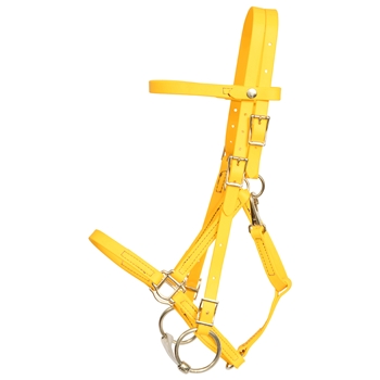 ****PHOTO SAMPLE*** $30 Sunflower Yellow Beta Biothane Quick Change Halter Bridle Headstall - Horse Size
