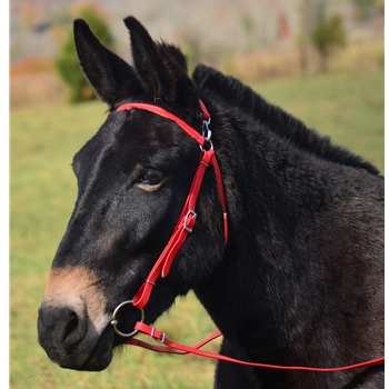 MULE BRIDLE made from BETA BIOTHANE