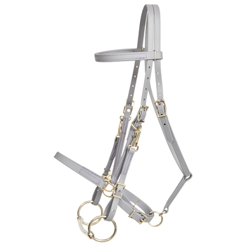 ****PHOTO SAMPLE*** $15 Gray Beta Biothane Halter Bridle with Bit Hangers Headstall with Purple Thread - Horse Size