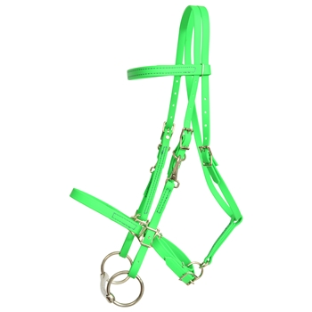 ****PHOTO SAMPLE*** $15 Lime Green Beta Biothane Halter Bridle with Bit Hangers Headstall with Purple Thread - Horse Size