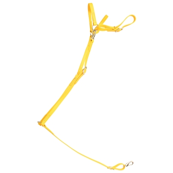 ****PHOTO SAMPLE*** $20 Sunflower Yellow Beta Biothane English Breast Collar - Horse Size