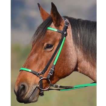 Icelandic BRIDLE with reins Beta Biothane ANY 2 COLOR COMBO