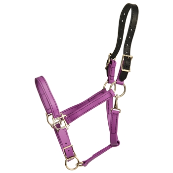 ****PHOTO SAMPLE*** $25 Grape Purple Beta Biothane Safety Halter with Leather Breakaway Crown - Horse Size