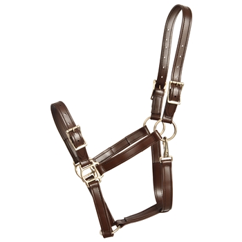 ****PHOTO SAMPLE*** $25 Brown Better Than Leather Buckle Nose Halter - Horse Size