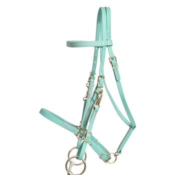 ****PHOTO SAMPLE*** $30 Dusty Turquoise Beta Biothane Halter Bridle with Bit Hangers Headstall with Pink Thread - Horse Size