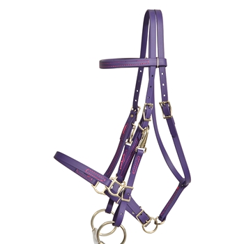 ****PHOTO SAMPLE*** $30 Purple Beta Biothane Halter Bridle with Bit Hangers Headstall with Pink Thread - Horse Size