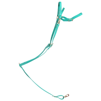 ****PHOTO SAMPLE*** $25 Turquoise Beta Biothane English Breast Collar with Pink Thread - Horse Size
