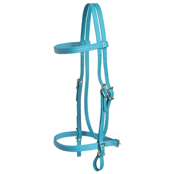 ****PHOTO SAMPLE*** $20 Aqua Blue Beta Biothane English Headstall with Pink Thread - Horse Size