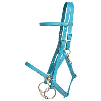 ****PHOTO SAMPLE*** $30 Aqua Blue Beta Biothane Quick Change Halter Bridle Headstall with Pink Thread - Horse Size