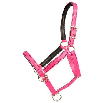 NEOPRENE PADDED Beta Biothane Pack Horse Halter