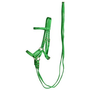 ****PHOTO SAMPLE*** $30 Green Nylon Sidepull Bitless Bridle with Matching English Reins - Horse Size