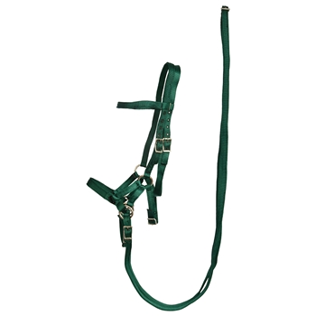 ****PHOTO SAMPLE*** $30 Hunter Green Nylon Sidepull Bitless Bridle with Matching English Reins - Horse Size
