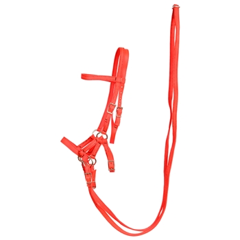****PHOTO SAMPLE*** $30 Orange Nylon Sidepull Bitless Bridle with Matching English Reins - Horse Size