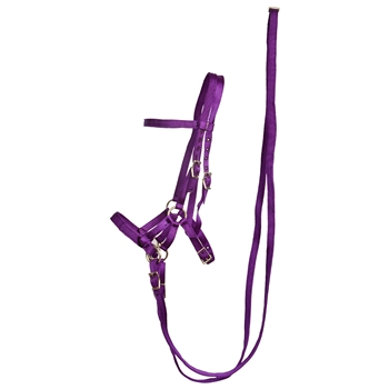 ****PHOTO SAMPLE*** $30 Purple Nylon Sidepull Bitless Bridle with Matching English Reins - Horse Size