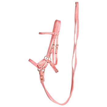 ****PHOTO SAMPLE*** $30 Soft Pink Nylon Sidepull Bitless Bridle with Matching English Reins - Horse Size