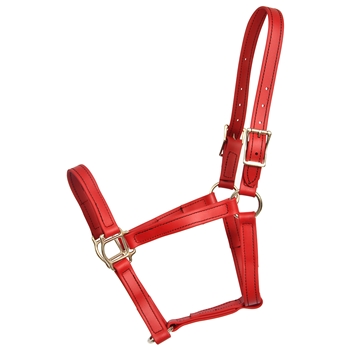 ****PHOTO SAMPLE*** $20 Chili Red Beta Biothane Halter - Horse Size