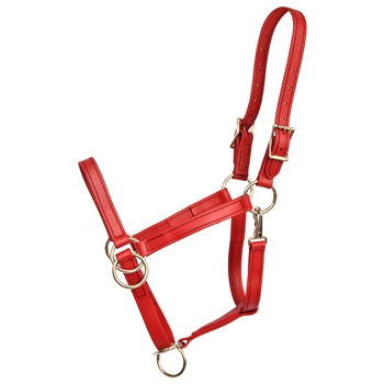 ****PHOTO SAMPLE*** $25 Chili Red Beta Biothane Pack Horse Halter - Horse Size