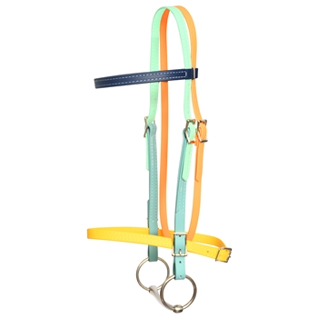 Mix N Match English Convert A Bridle