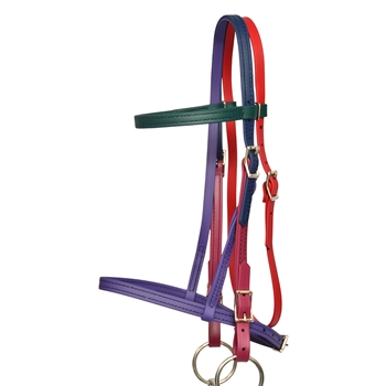 Rainbow ENGLISH BRIDLE with CAVESSON made from BETA BIOTHANE (5 Colors Mix N Match)