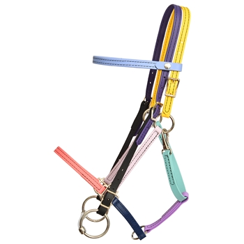 Halter Bridle - Quick Change (10 Color Mix and Match)