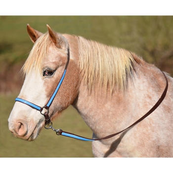 GROOMING HALTER & LEAD made from BETA BIOTHANE (Any 2 COLOR COMBO)
