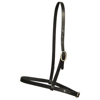 ****PHOTO SAMPLE*** $5 Black Leather English Cavesson - Cob Size