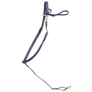 ****PHOTO SAMPLE*** $20 Purple Beta Biothane English Breast Collar - Horse Size