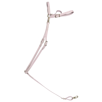 ****PHOTO SAMPLE*** $25 Lavender Beta Biothane with Lime Green Thread English Breast Collar - Horse Size