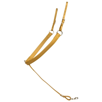 ****PHOTO SAMPLE*** $25 Gold Beta Biothane with Lime Green Thread Western Breast Collar - Horse Size