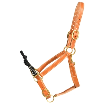 ****PHOTO SAMPLE*** $30 English Tan Leather Rope Combo Halter - Warmblood/TB/Large Horse/Draft Cross Size