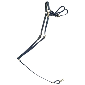 ****PHOTO SAMPLE*** $20 Navy Blue Beta Biothane with Green Thread English Breast Collar - Horse Size