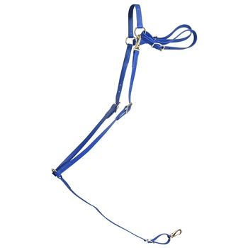 ****PHOTO SAMPLE*** $20 Royal Blue Beta Biothane with Green Thread English Breast Collar - Horse Size