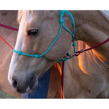 TRAINING STIFF Rope Halter