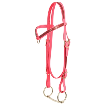 ****PHOTO SAMPLE*** $20 Bubblegum Pink Beta Biothane with Maroon Overlay Western Headstall with Center Ring Browband - Horse Size