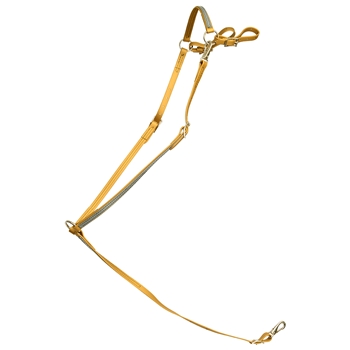 ****PHOTO SAMPLE*** $25 Gold Beta Biothane with Gray Overlay English Breast Collar - Horse Size