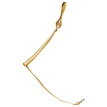 ****PHOTO SAMPLE*** $25 Gold Beta Biothane with White Overlay Western Breast Collar - Horse Size