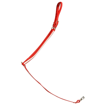 ****PHOTO SAMPLE*** $25 Red Beta Biothane with White Overlay Western Breast Collar - Horse Size