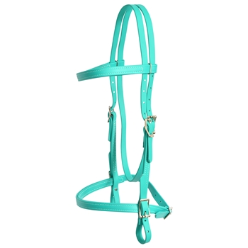 ****PHOTO SAMPLE*** $25 Turquoise Beta Biothane English Headstall - Horse Size