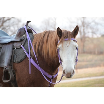 Save Money and Order a Bridle and Breast collar Tack Set - Two Horse Tack