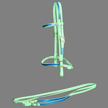 ****PHOTO SAMPLE*** $30 Mint/Seafoam Green Beta Biothane with Light Blue Overlay English Bridle & Reins - Horse Size