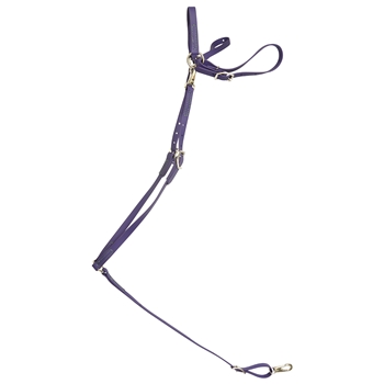 ****PHOTO SAMPLE*** $25 Purple Beta Biothane with Green Thread English Breast Collar - Horse Size