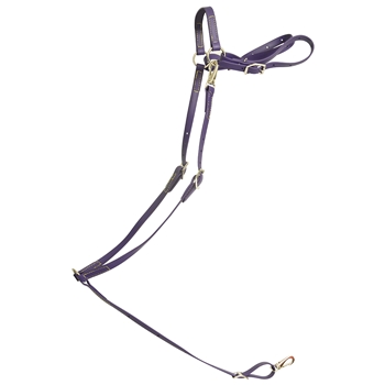 ****PHOTO SAMPLE*** $25 Purple Beta Biothane with Yellow Thread English Breast Collar - Horse Size