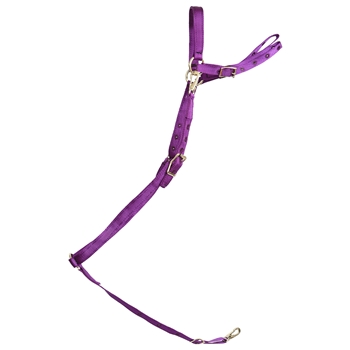 ****PHOTO SAMPLE*** $15 Purple Nylon English Breast Collar - Horse Size