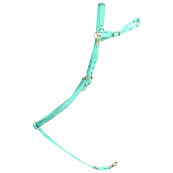 ****PHOTO SAMPLE*** $15 Turquoise Nylon English Breast Collar - Horse Size