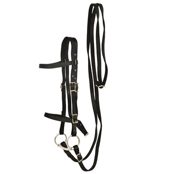 ****PHOTO SAMPLE*** $20 Black Nylon English Bridle & Matching Reins - Horse Size