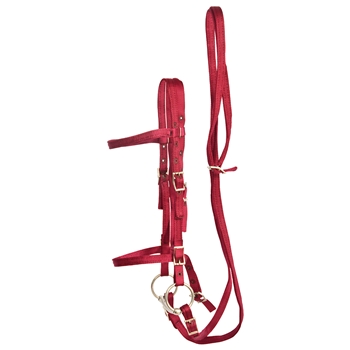 ****PHOTO SAMPLE*** $20 Burgundy Nylon English Bridle & Matching Reins - Horse Size