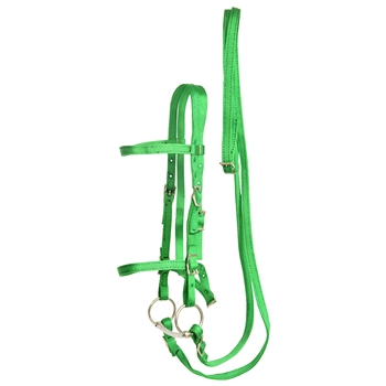 ****PHOTO SAMPLE*** $20 Green Nylon English Bridle & Matching Reins - Horse Size