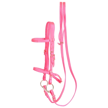 ****PHOTO SAMPLE*** $20 Hot Pink Nylon English Bridle & Matching Reins - Horse Size