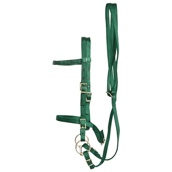 ****PHOTO SAMPLE*** $20 Hunter Green Nylon English Bridle & Matching Reins - Horse Size