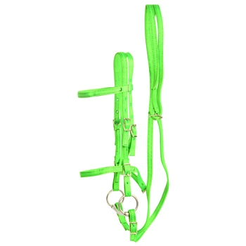 ****PHOTO SAMPLE*** $20 Lime Green Nylon English Bridle & Matching Reins - Horse Size